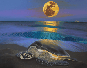 2015_05_11_11_03_24_5550eeec5c200